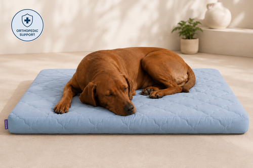 ArcticPaw™ Cooling Recovery Mat